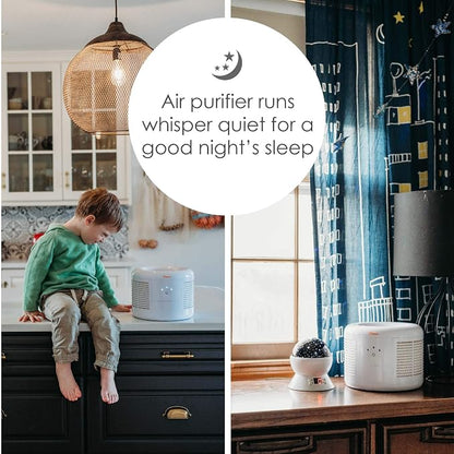 Crane HEPA Air Purifier, Air Purifiers - Image 5