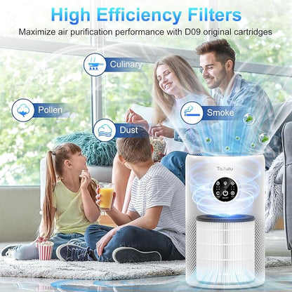 Tailulu 2 Pack D10 Replacement Filter, Air Purifier Filter - Image 6