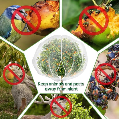 5.9 x 5.9 ft Fruit Tree Netting Cover - Image 4