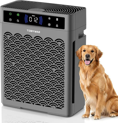 Air Purifiers for Home Large Room, Cover Up to 3000 Ft² by Clicknow