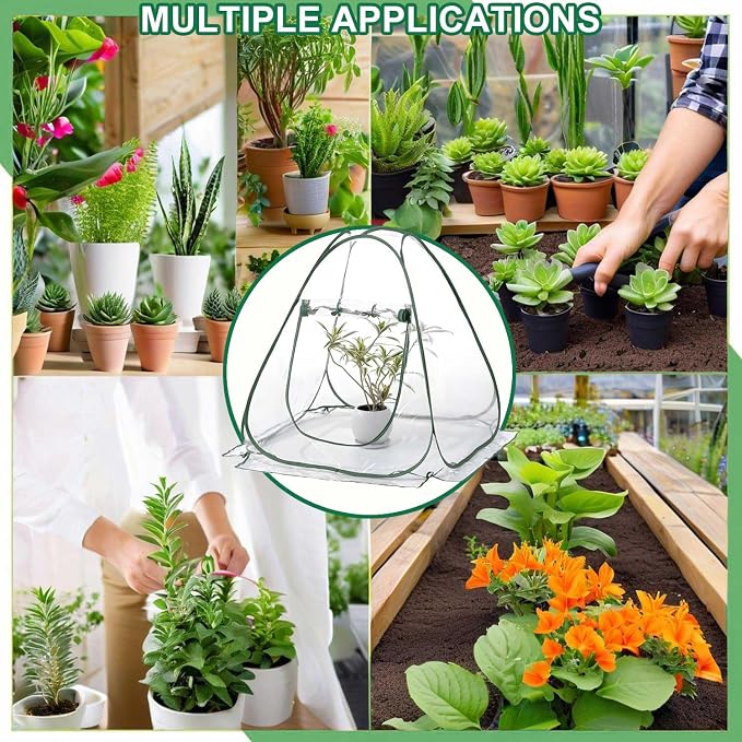 Plant Mini Greenhouse Pop Up Transparent Greenhouse Freeze Protection PVC Plant - Image 5