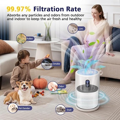 B-D02L/M05/B-D02U H13 Filter Compatible - Image 7