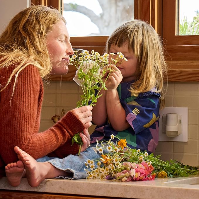 MRS. MEYER'S CLEAN DAY Scented Oil Refills, Compassion Flower, contains 2 .67 fl oz refills