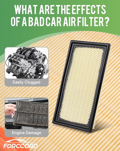 Cabin & Engine Air Filter Set - Image 4
