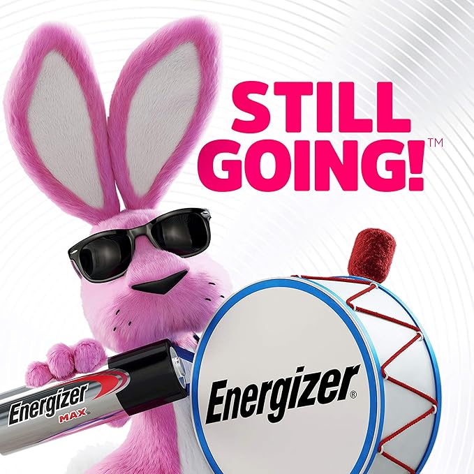 Energizer AA Batteries, 12 Count, Double A Max Alkaline Battery (Pack of 2)