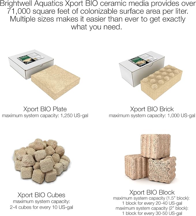Brightwell Aquatics Xport-BIO Block - Image 5