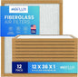 Fiberglass Air Filter -12x36x1Air Filter 12 Pack by Unknown