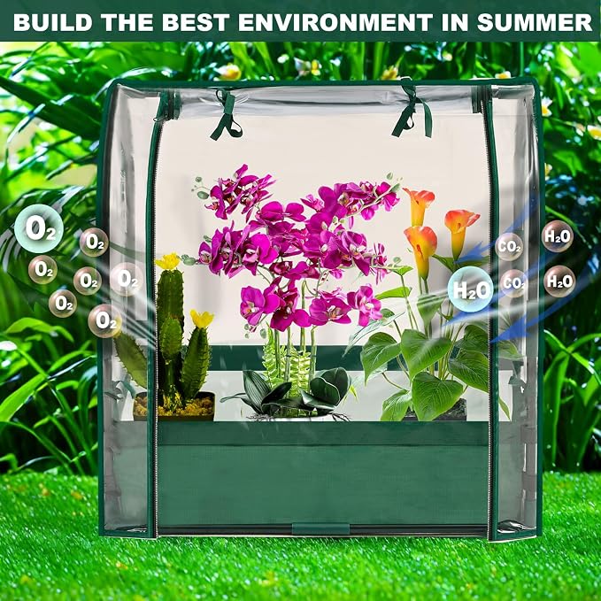 Mini Tabletop Garden Greenhouse Nursery Plant Cover Tent Humidity Domes - Image 4
