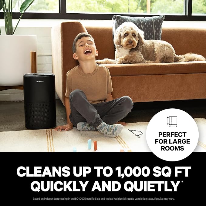 PuroAir 240 Replacement Filter - HEPA Filters up to 99.9% of Smoke, Pollen, Dust and Common Household Pollutants - HEPA Air Filter Replacement for PuroAir 240 Air Purifier