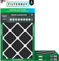 Filterbuy 14x25x1 Air Filter MERV 10 Odor & Allergy Defense by Filterbuy