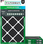 Filterbuy 15x25x1 Air Filter MERV 10 Odor & Allergy Defense by Filterbuy