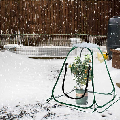 Plant Mini Greenhouse Pop Up Transparent Greenhouse Freeze Protection PVC Plant - Image 8