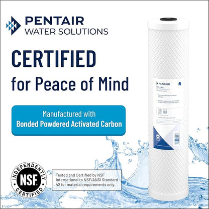 Pentair Pentek CBC-20 Carbon Water Filter, Whole House Carbon Block Replacement - Image 2