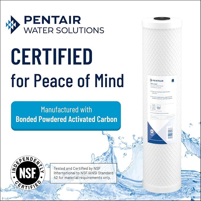 Pentair Pentek CBC20-BB Big Blue Carbon Water Filter, Whole House Carbon Block - Image 3