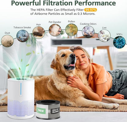 M01 Replacement Filter Only Compatible - Image 5