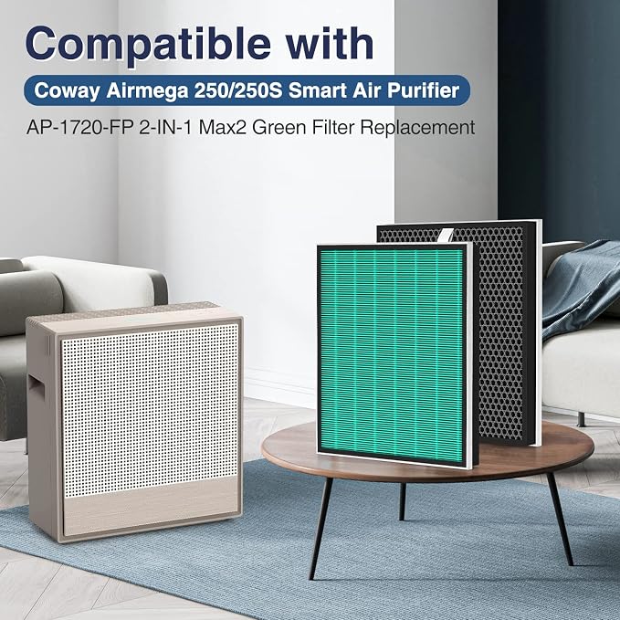 2 Pack 250/250S Replacement Filters - Image 2