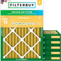 Filterbuy 20x22x2 Air Filter MERV 11 Superior Pet & Allergy Defense, by Filterbuy