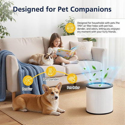 Upgraded TP01 Filter HEPA Replacement Filter Compatible - Image 7