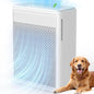 Air Purifiers for Home Pets Covers Up to 1500 Sq Ft, H13 Hepa Filter by YARIKI