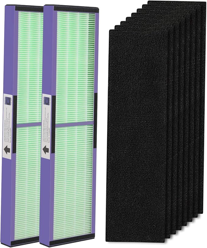 isinlive 2 Pack FLT5000 HEPA Filter C Replacement by isinlive
