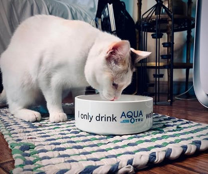 AquaTru Carafe Smart Countertop Water Purifier | App-Connected 4-Stage Reverse - Image 8