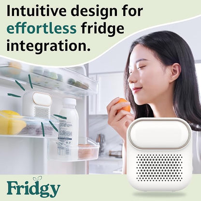 Fridge Air Purifier | Keeps Fridge Odor-Free & Produce Fresh Longer | Compact - Image 6