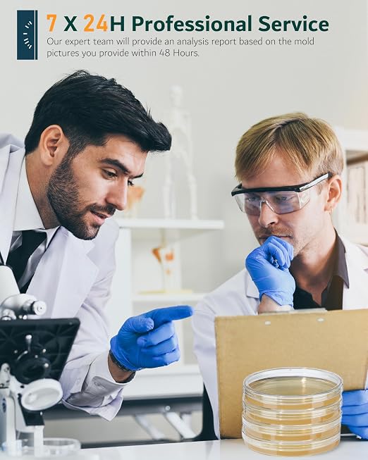 Mold Test Kit for Home - Image 8