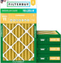 Filterbuy 16x25x4 Air Filter MERV 11 Superior Pet & Allergy Defense, by Filterbuy
