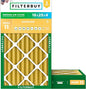 Filterbuy 16x25x4 Air Filter MERV 11 Superior Pet & Allergy Defense, by Filterbuy