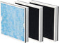Abestorm 2-in-1 /HEPA/Activated Carbon Filter Replacement Set by AbestormSolutionsINC