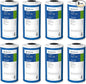 Pentair Pentek GAC-BB Big Blue Carbon Water Filter, Whole House Heavy Duty by PENTAIRPENTEK