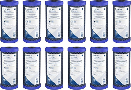 Pentair Pentek CFB-Plus10BB Big Blue Carbon Water Filter, Whole House Fibredyne by PENTAIRPENTEK