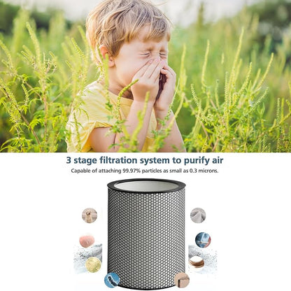 972132-01 H13 Grade Glass Big HEPA Filter Compatible - Image 3
