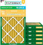 Filterbuy 16x25x2 Air Filter MERV 11 Superior Pet & Allergy Defense, by Filterbuy