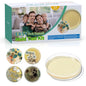 Mold Test Kit for Home by ENESNES