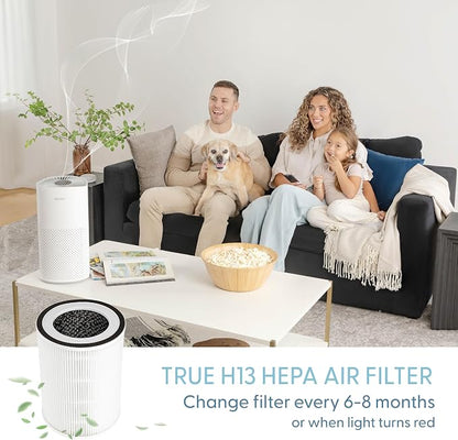 HEPA Replacement Filter - Image 4