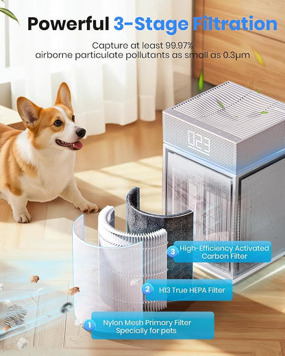 Air Purifiers for Home Large Room Bedroom up to 3600 Sq Ft PM 2.5 Display Air - Image 3