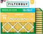 Filterbuy 12x12x1 Air Filter MERV 11 Superior Pet & Allergy Defense, by Filterbuy