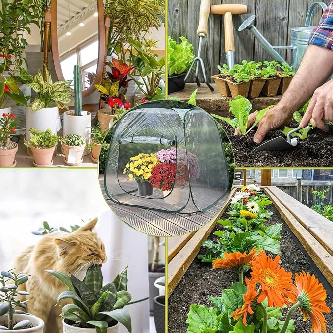 Plant Mini Greenhouse Pop Up Greenhouse Covers, Transparent Freeze Protection - Image 9