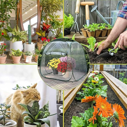 Plant Mini Greenhouse Pop Up Greenhouse Covers, Transparent Freeze Protection - Image 9