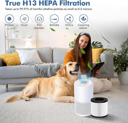 PU-P05/AC201B Replacement Filter - Image 4