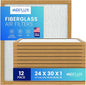 Fiberglass Air Filter -24x30x1Air Filter 12 Pack by Unknown