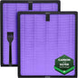 2 Pack Purple HY4866 Air Purifier Replacement Filters – Compatible by Unknown