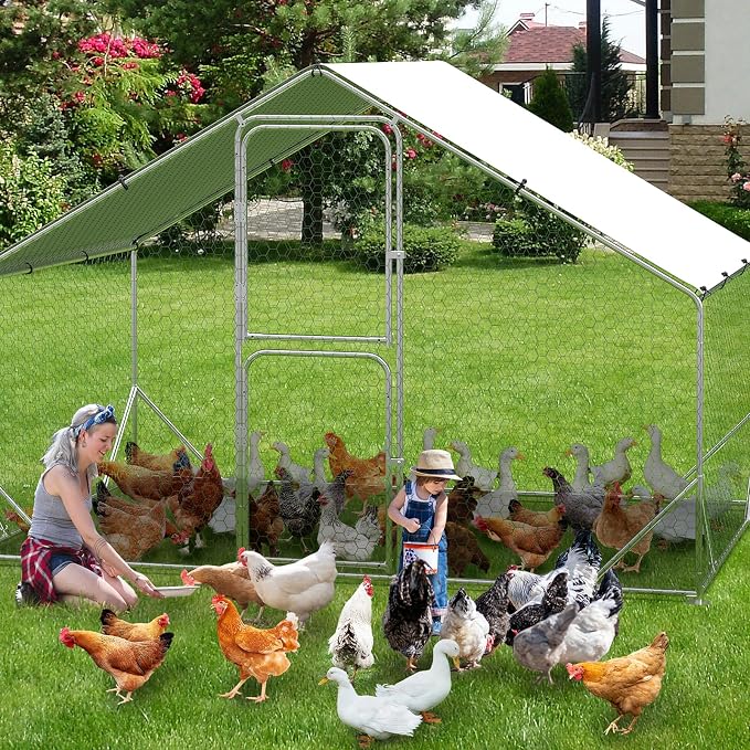 9.8X6.5x6.5FT, Large Walk in Chicken Run Pen Cage, Metal Coop Clearance - Image 8